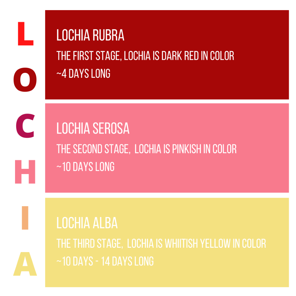 My Midwives UK - Vaginal bleeding following birth is known as lochia .  🩸The lochia is a combination of mucous, tissue and blood that your womb  sheds as it replaces its lining