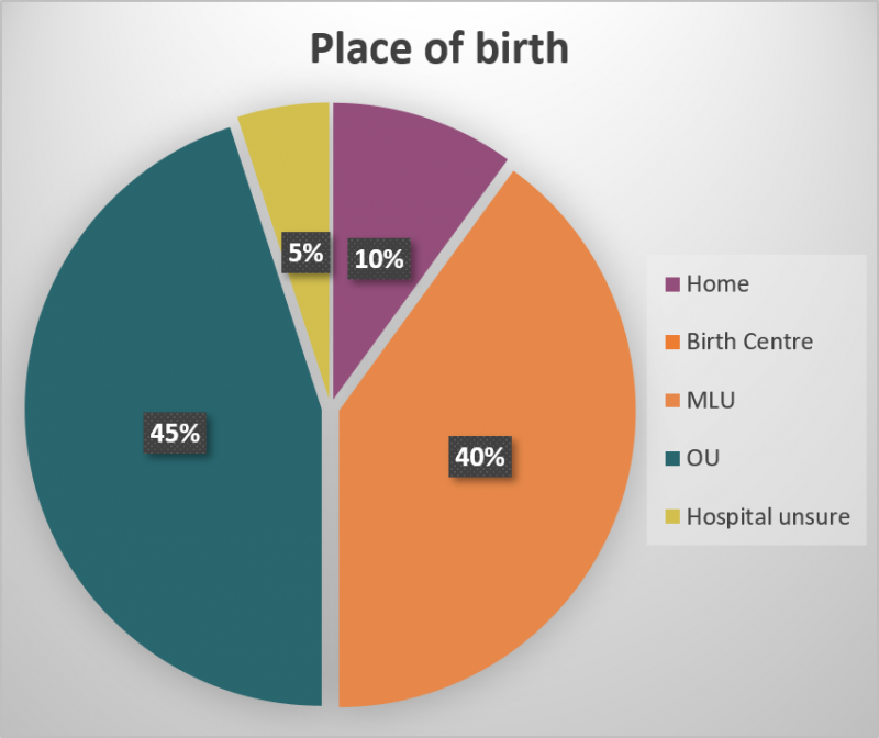 making-a-difference-to-birth-evaluating-the-real-birth-company-s-birth